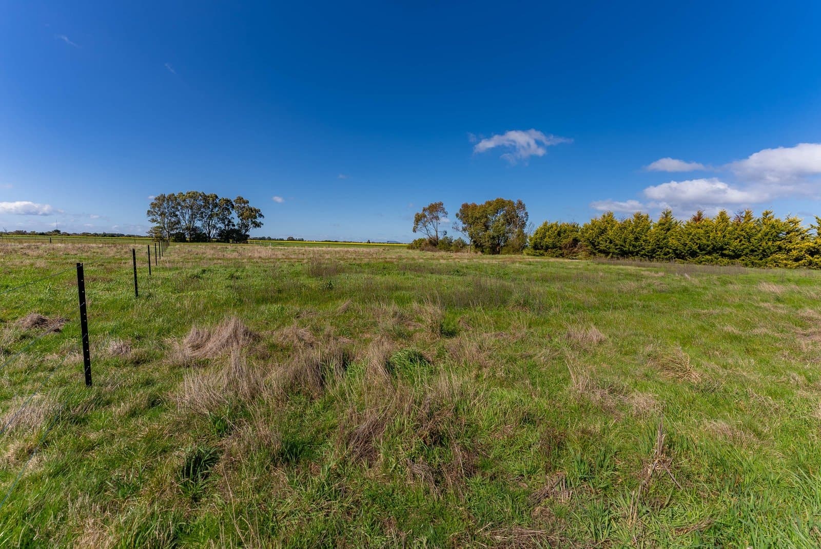 Lot 4 45 Whites Road, Cardigan, Cardigan - Thumbnail 6