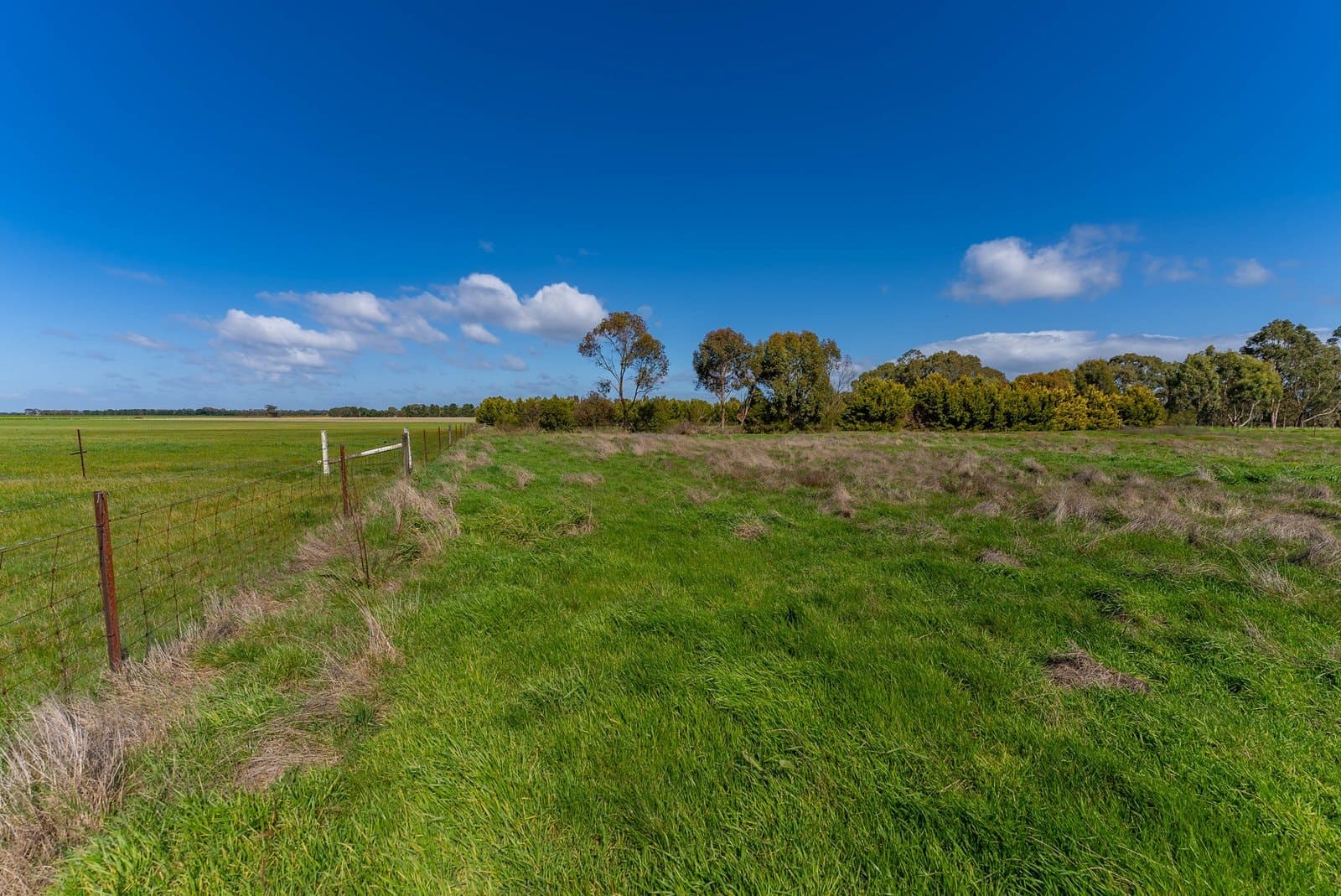 Lot 4 45 Whites Road, Cardigan, Cardigan - Thumbnail 7
