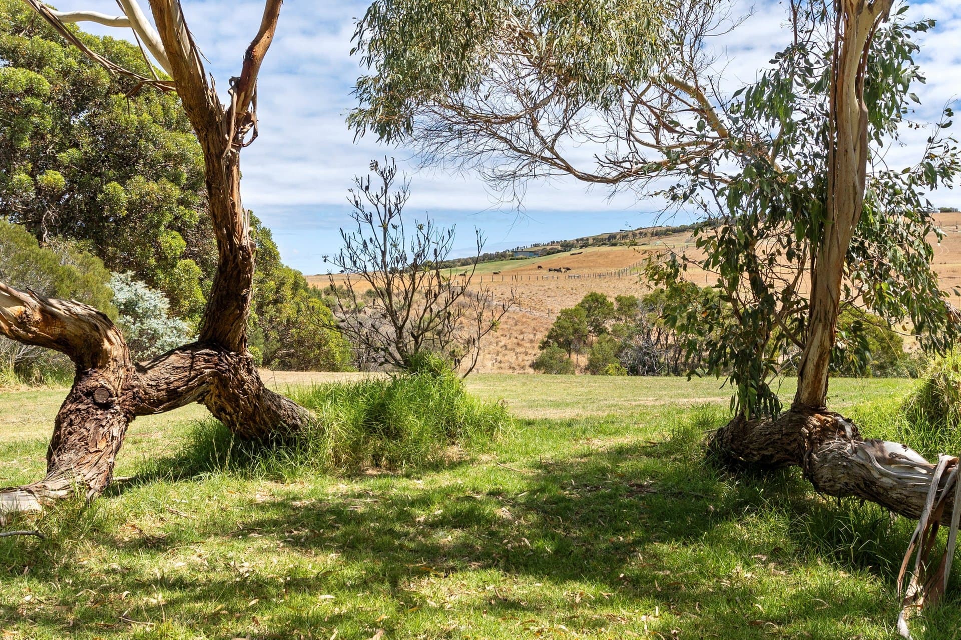37 Glenvale Road, Flinders, Flinders - Thumbnail 2