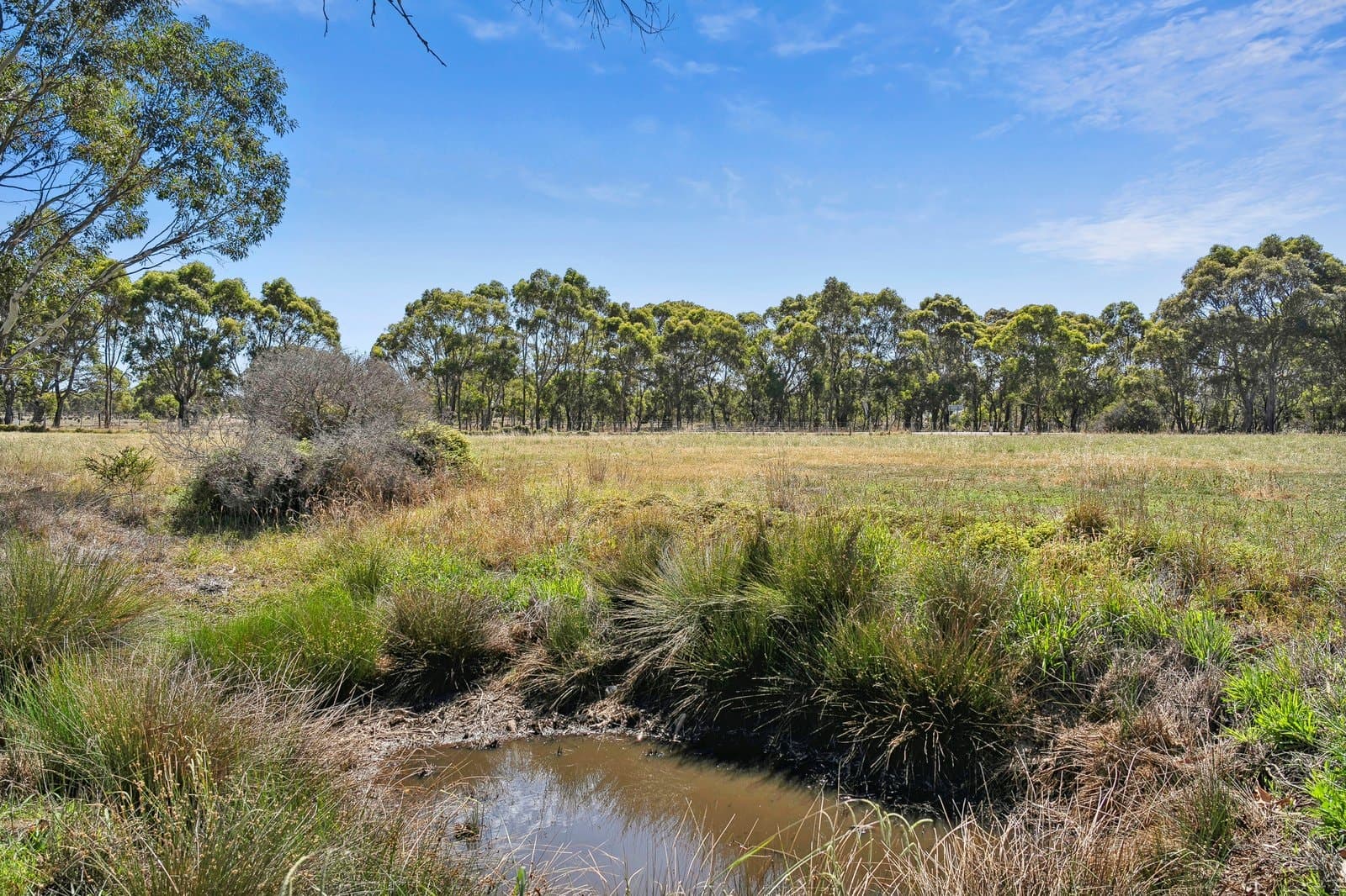 1 Steiglitz Road, Sutherlands Creek, Sutherlands Creek - Thumbnail 3