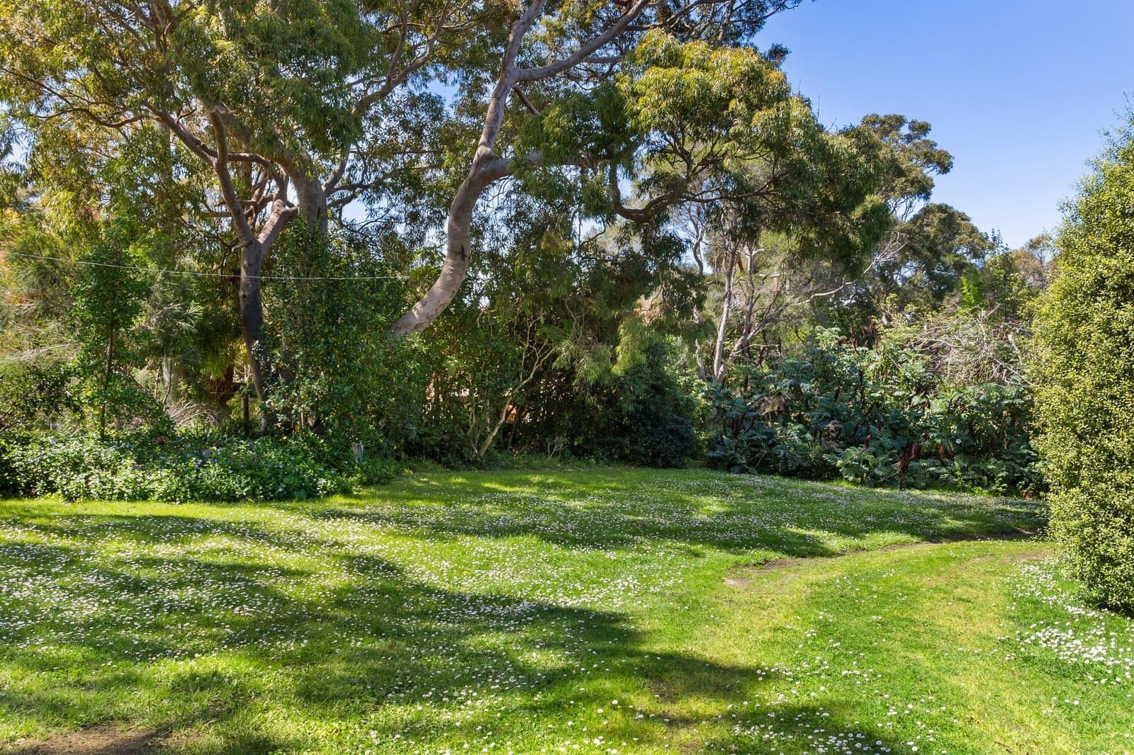 22 Hall Street, Flinders, Flinders - Thumbnail 2