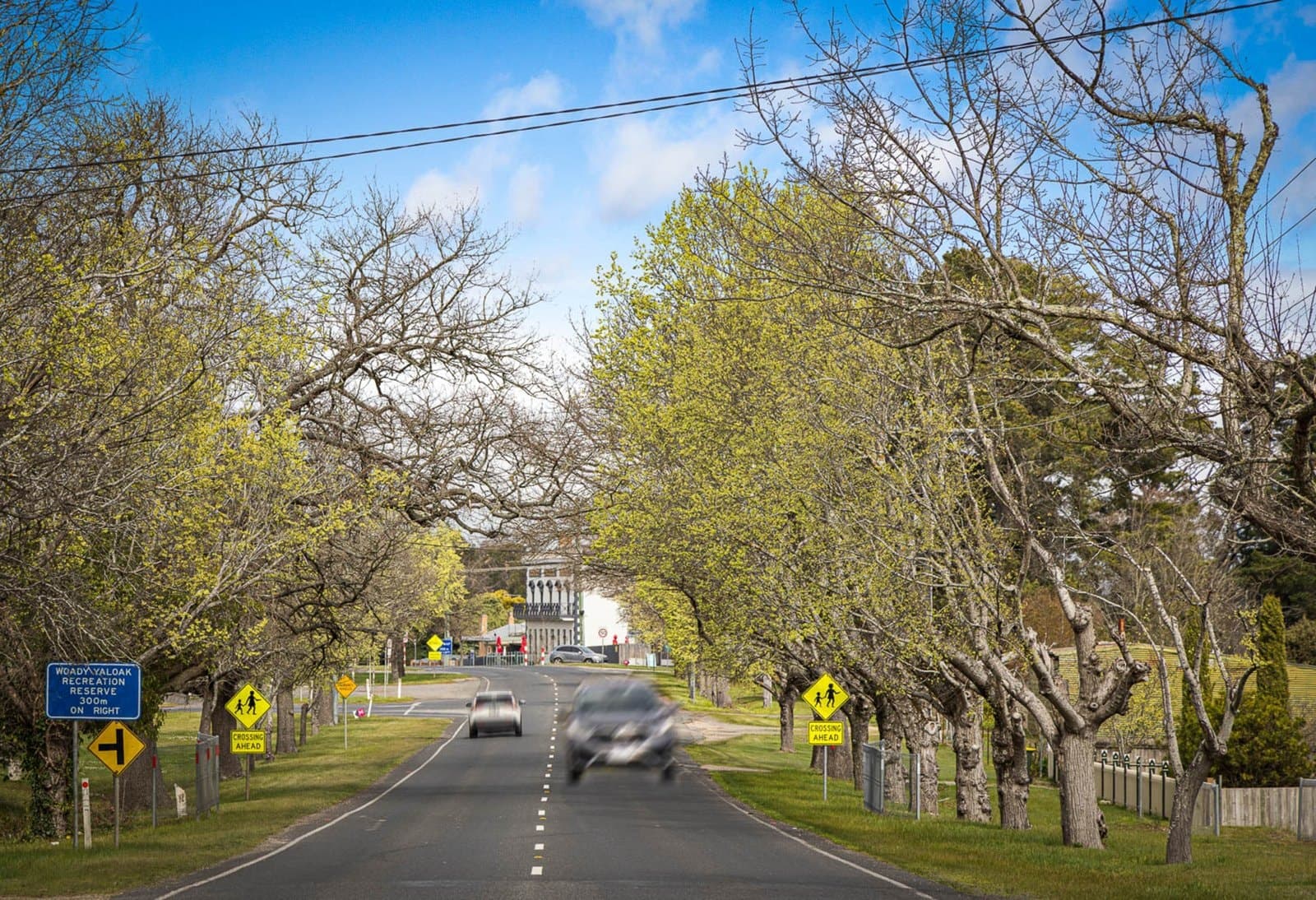 141 Brooke Street, Smythesdale, Smythesdale - Thumbnail 7