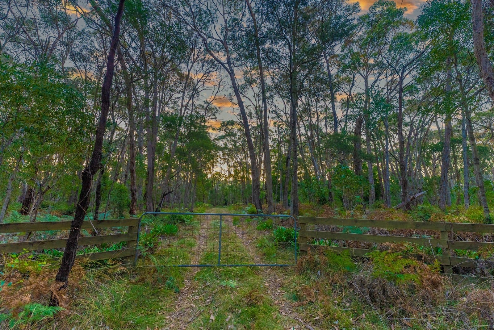 Lot 5 Howlett Road, Ross Creek, Ross Creek - Thumbnail 3