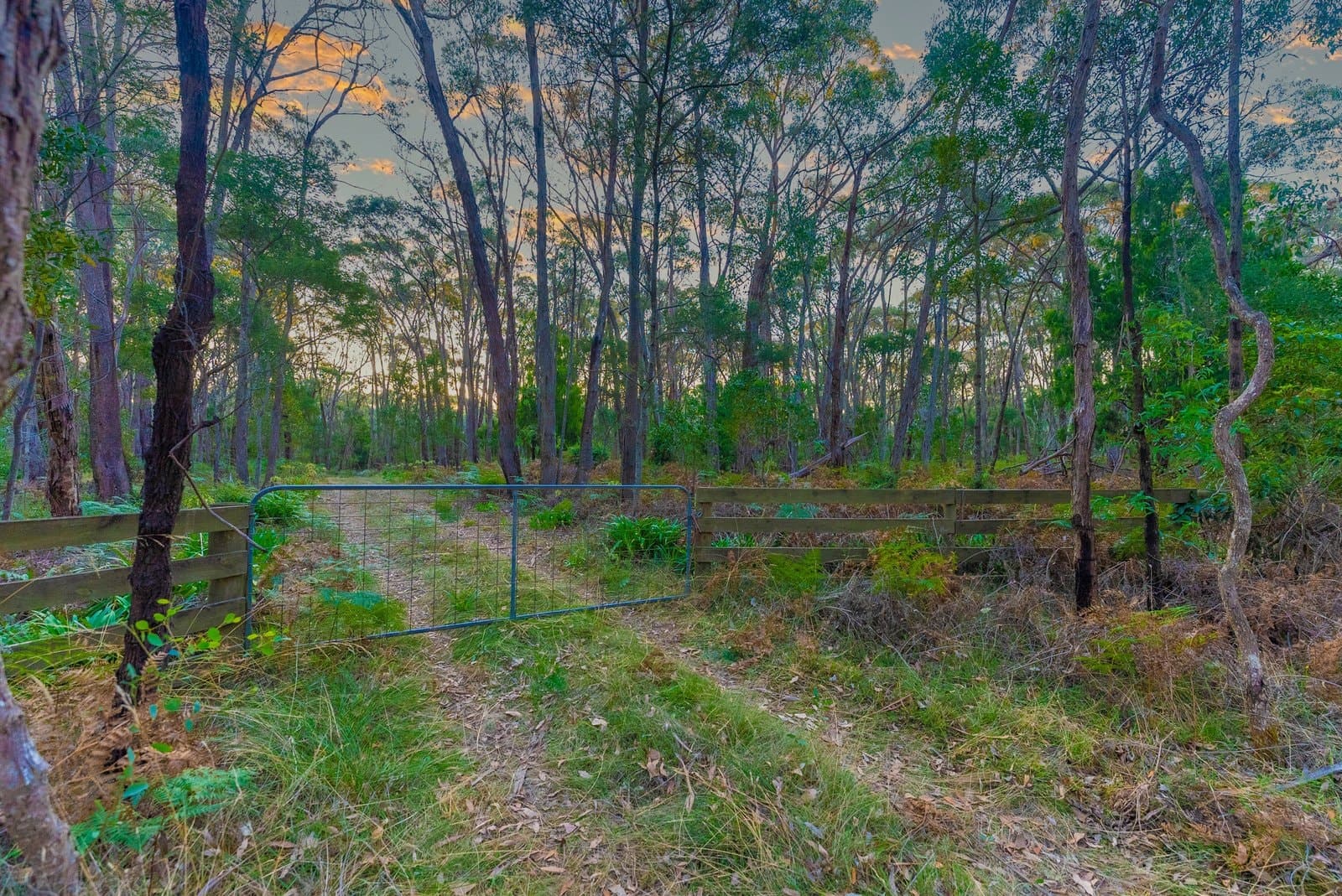 Lot 5 Howlett Road, Ross Creek, Ross Creek - Thumbnail 4