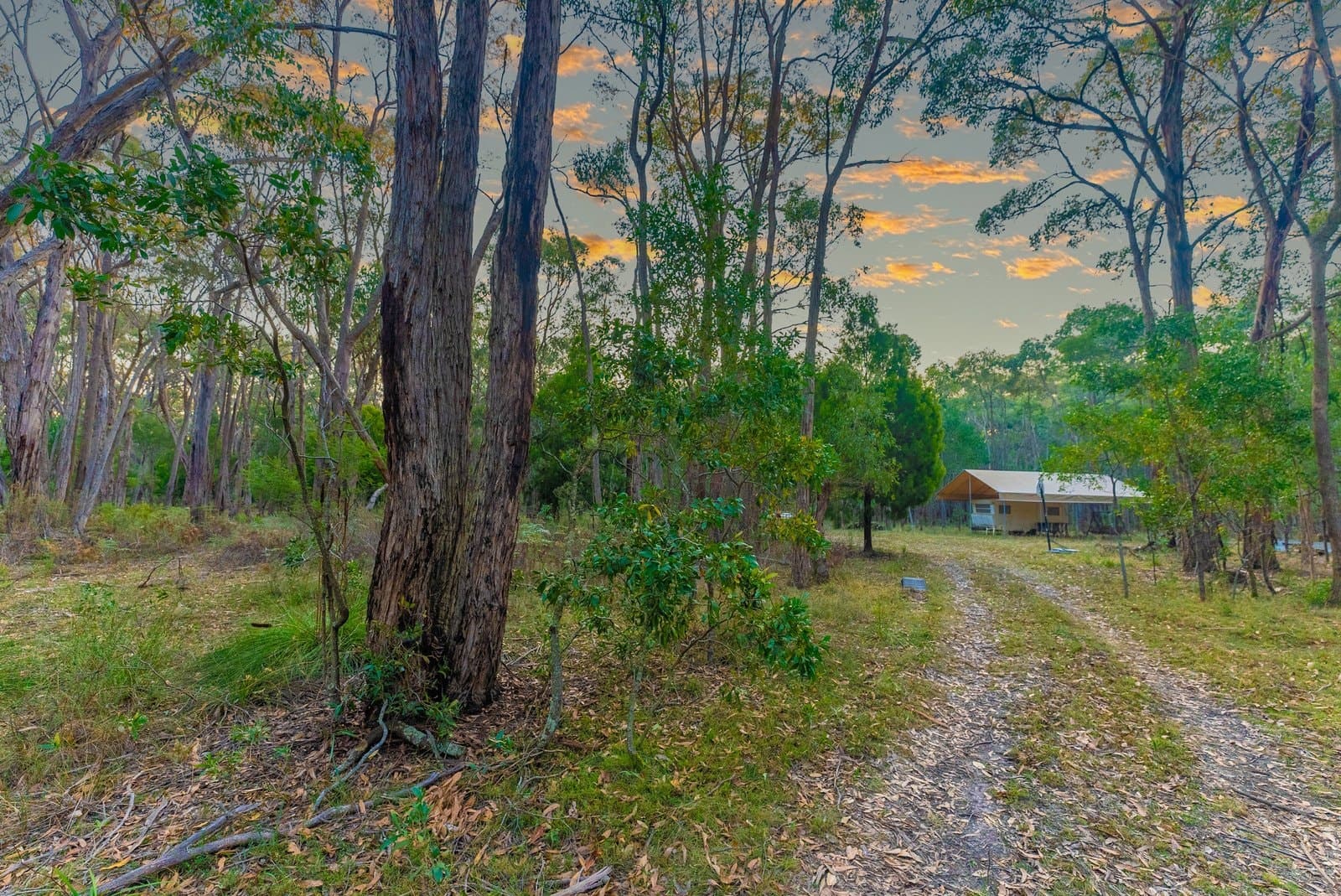 Lot 5 Howlett Road, Ross Creek, Ross Creek - Thumbnail 7