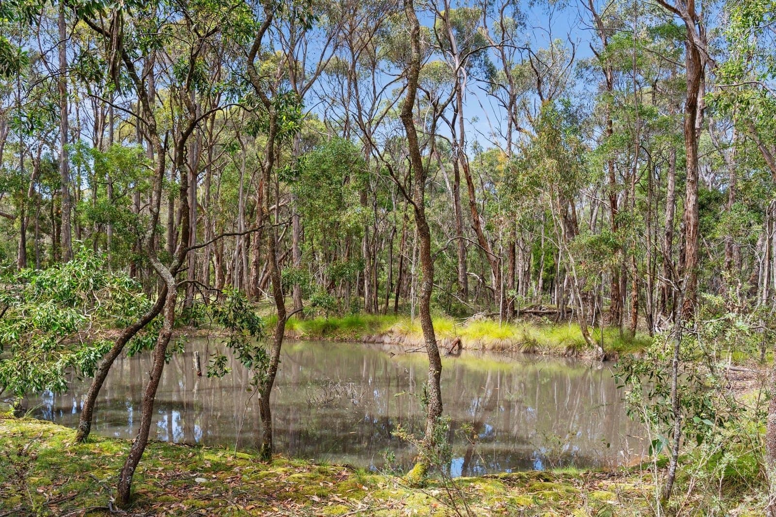 Lot 21 Reservoir Road, Ross Creek, Ross Creek - Thumbnail 6