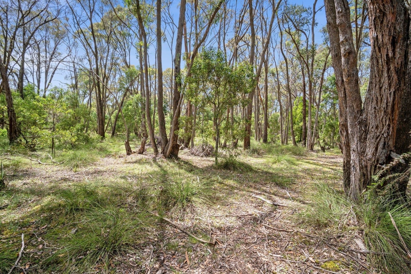 Lot 21 Reservoir Road, Ross Creek, Ross Creek - Thumbnail 7