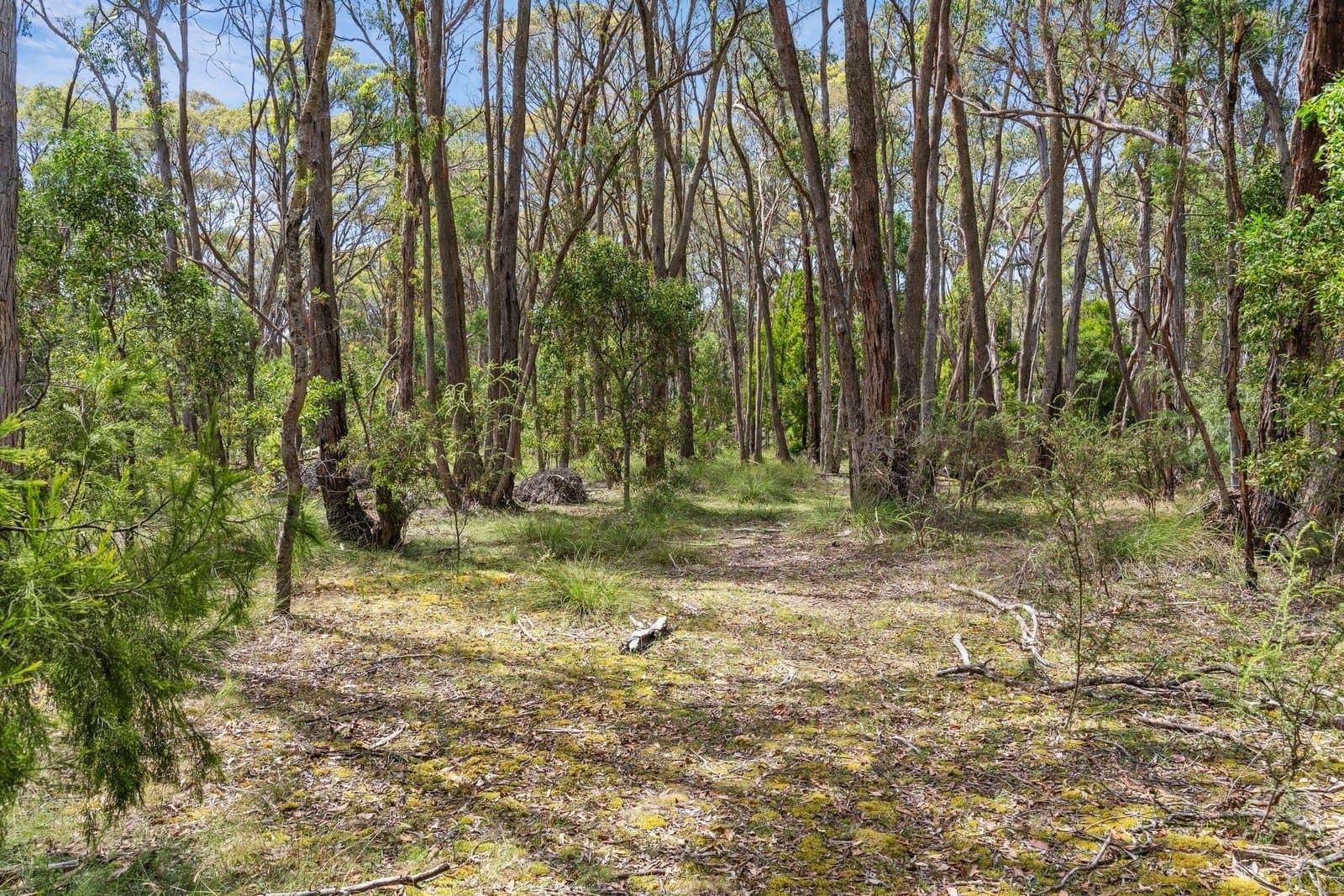 Lot 21 Reservoir Road, Ross Creek, Ross Creek - Thumbnail 8