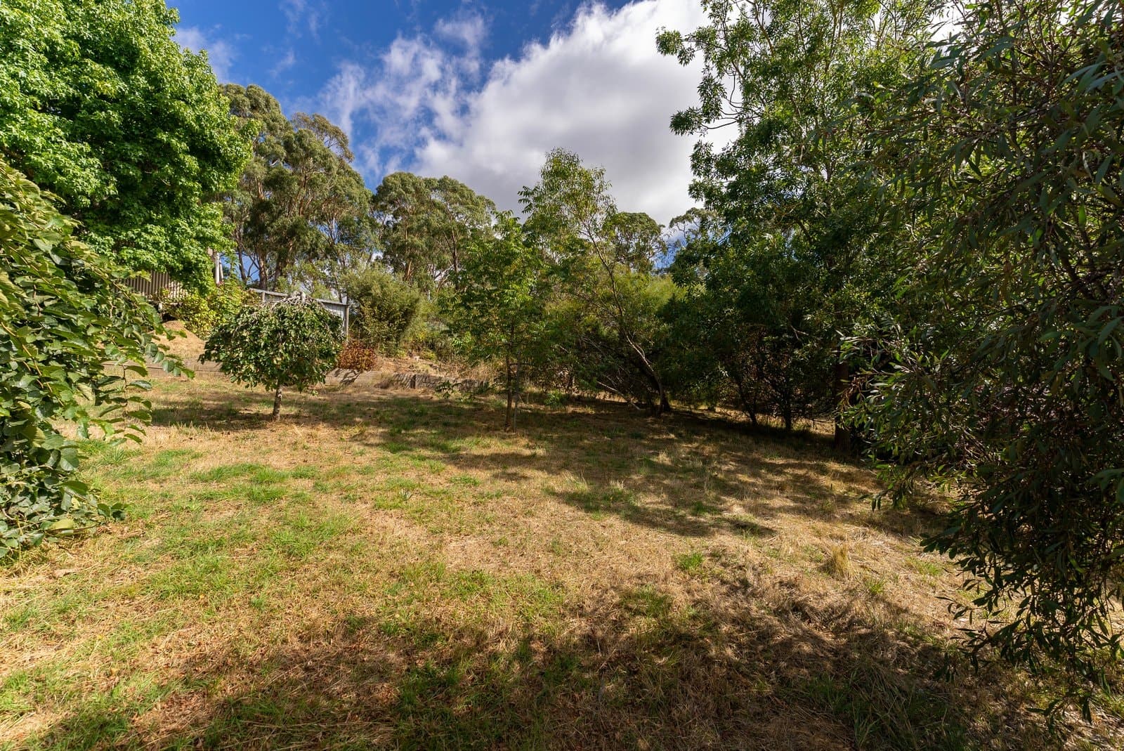 Lot 3 903 Cathcart Street, Buninyong, Buninyong - Thumbnail 5
