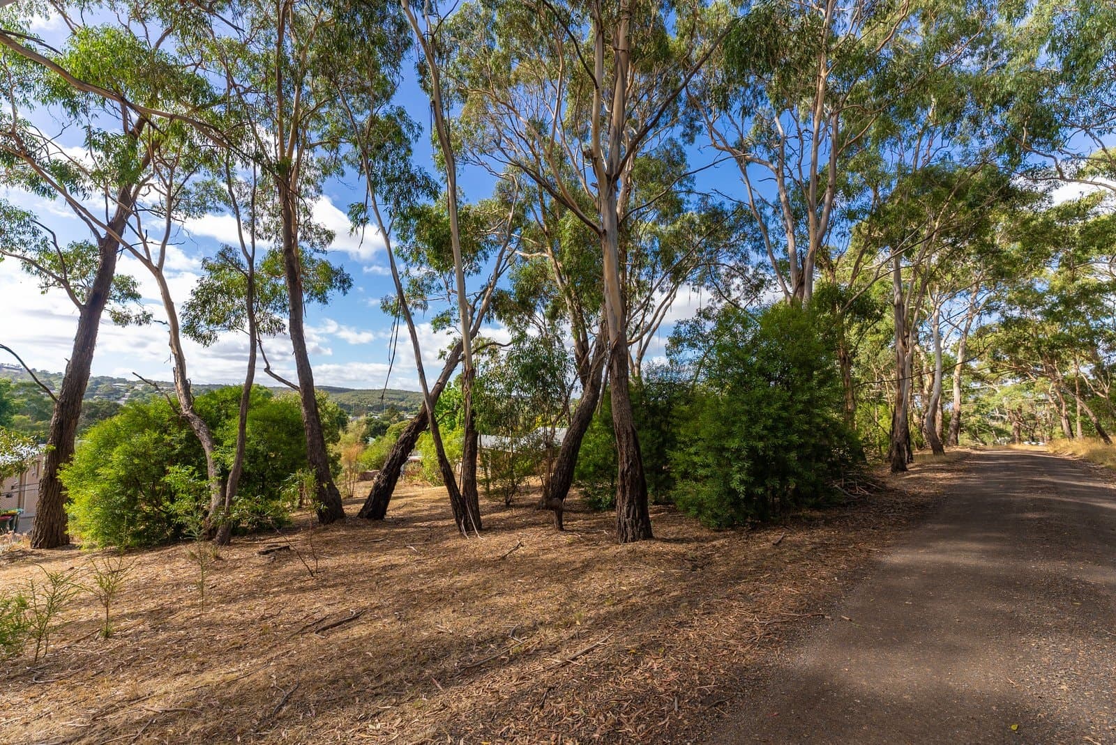 Lot 3 903 Cathcart Street, Buninyong, Buninyong - Thumbnail 6