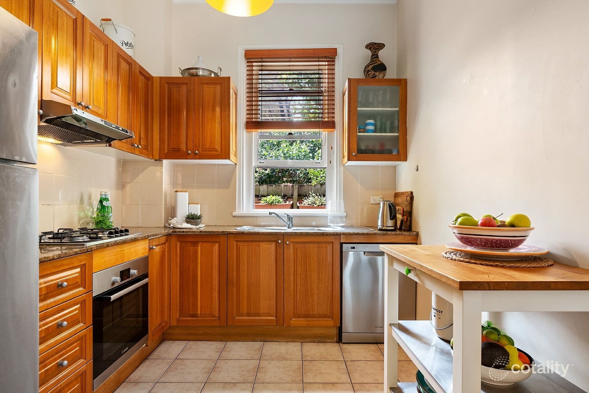 7 Hayward Street, Kingsford, Kingsford - Thumbnail 3