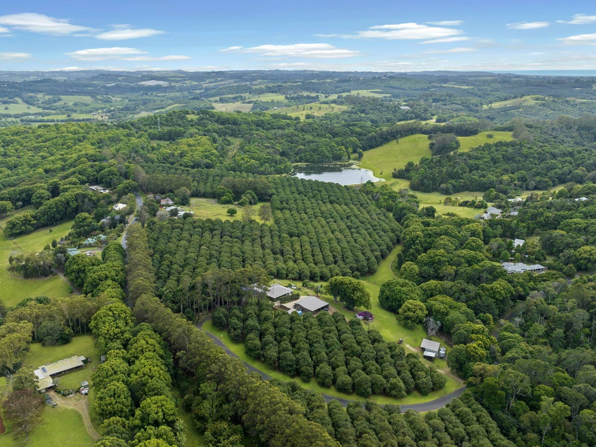 596 Pearces Creek Road, Alstonvale, Alstonvale - Thumbnail 2