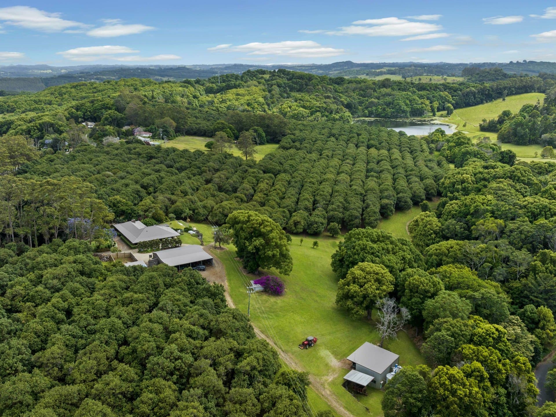 596 Pearces Creek Road, Alstonvale, Alstonvale - Thumbnail 3