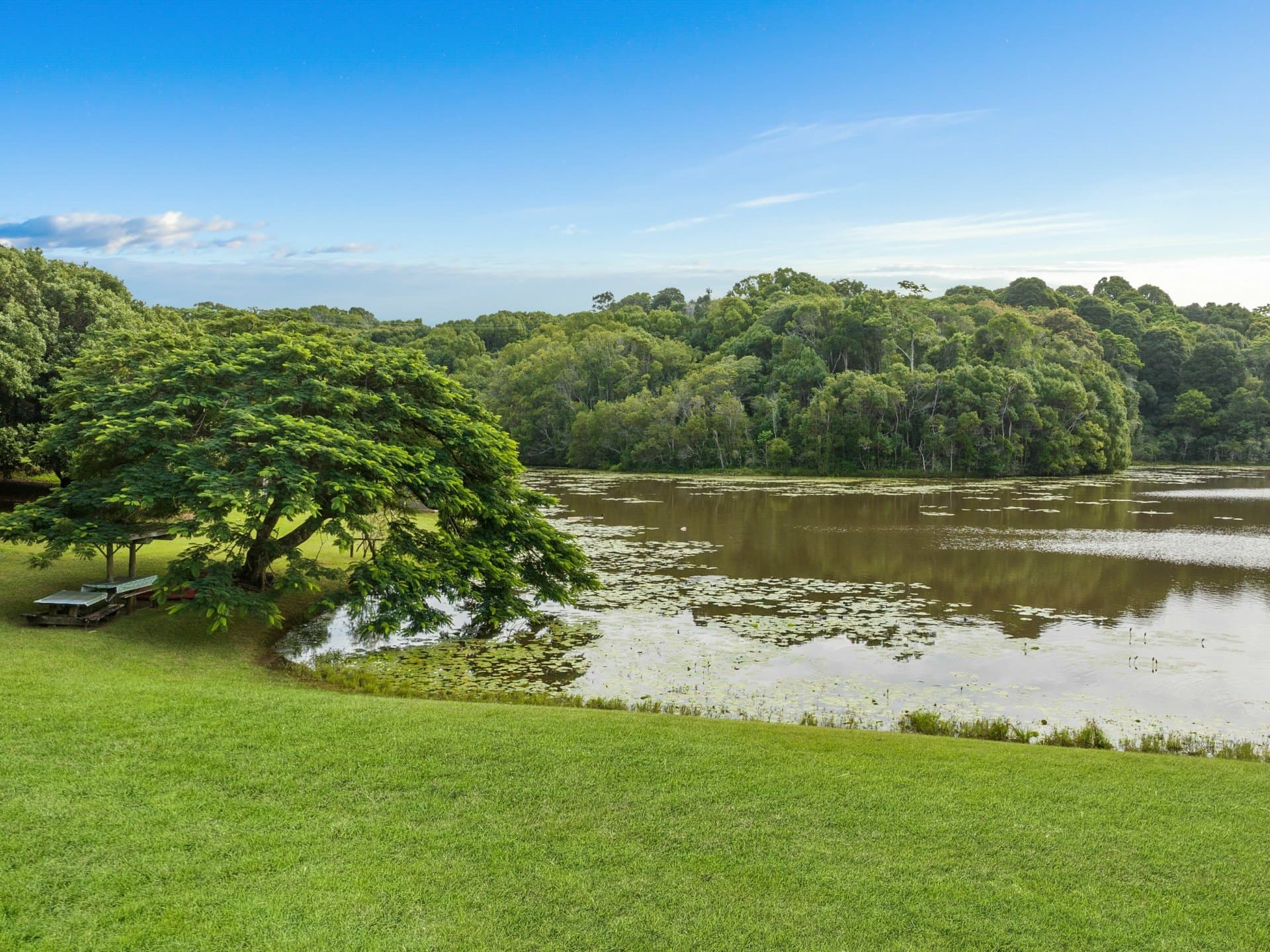 596 Pearces Creek Road, Alstonvale, Alstonvale - Thumbnail 6