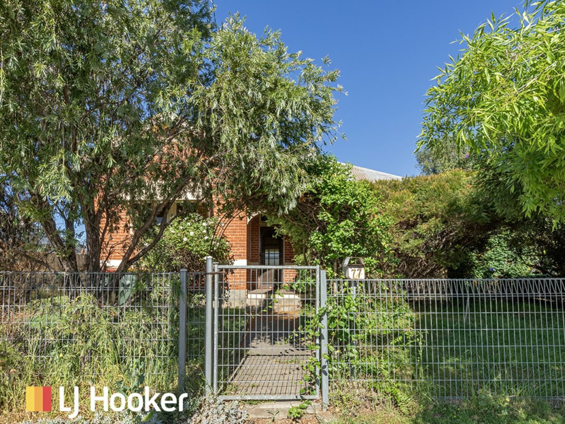 77 Ebsworth Street, West Tamworth, West Tamworth - Thumbnail 2