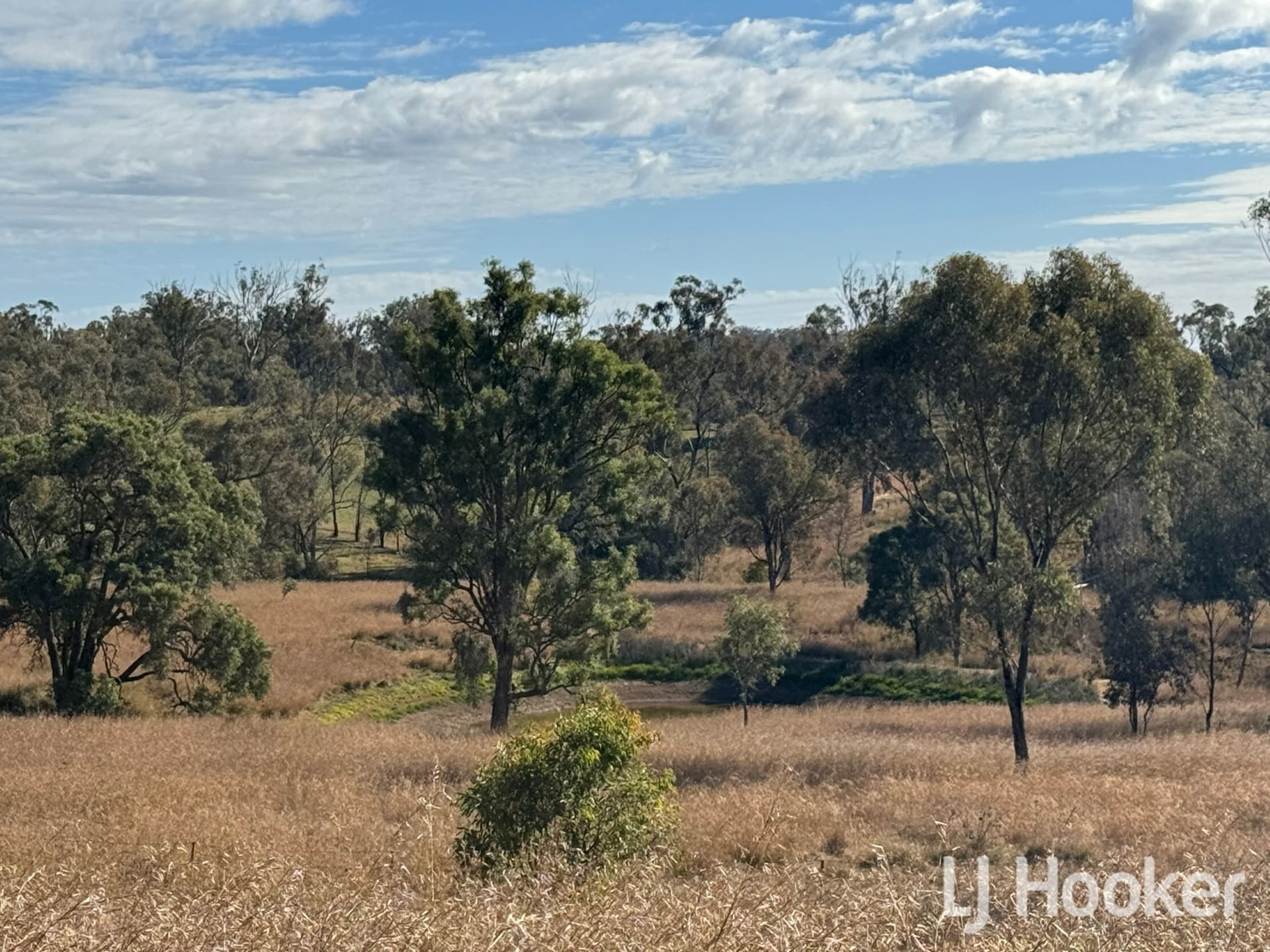 Kookaburra Gwydir Highway, Inverell, Inverell - Image 1