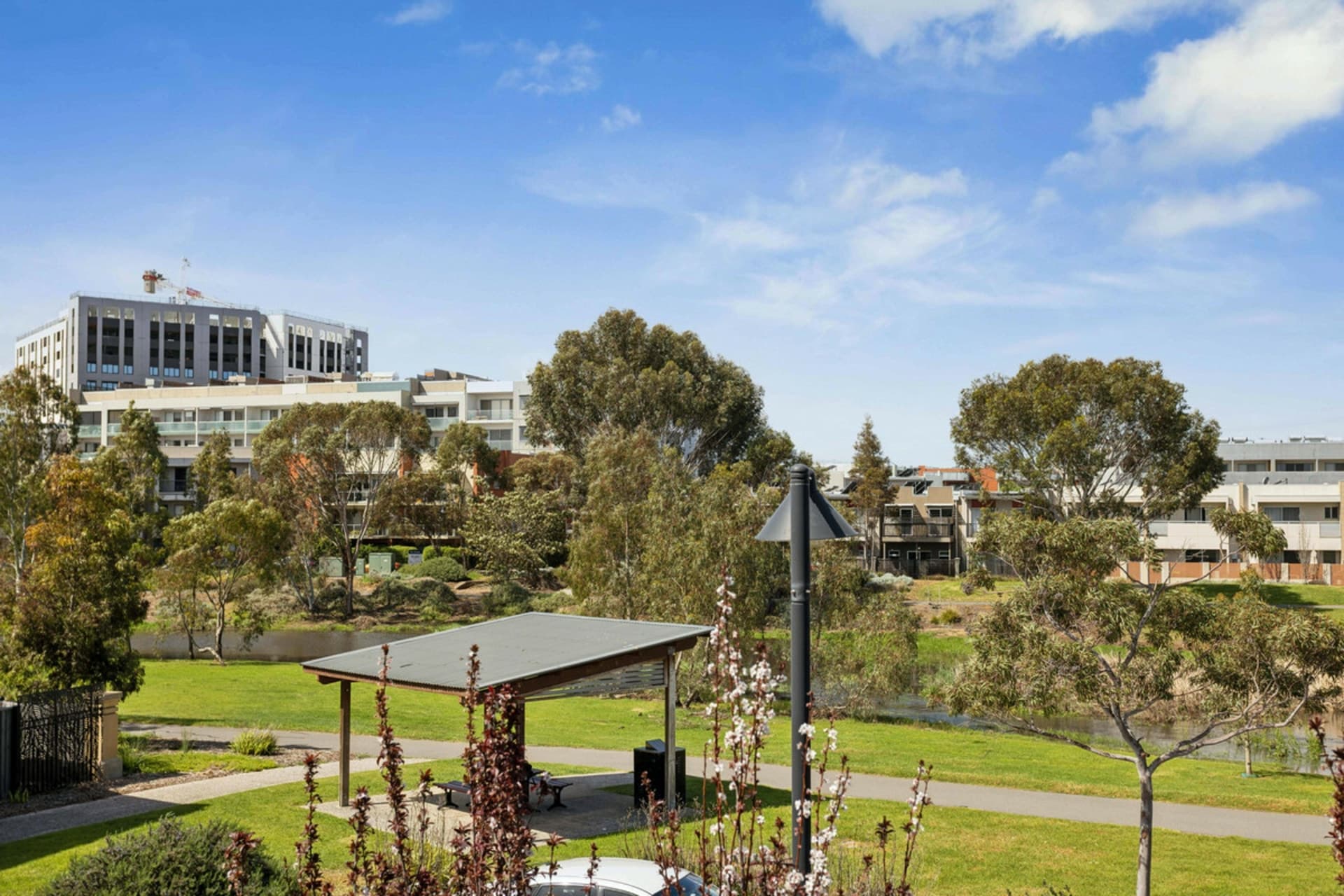 31 Robinson Street, Mawson Lakes, Mawson Lakes - Thumbnail 7