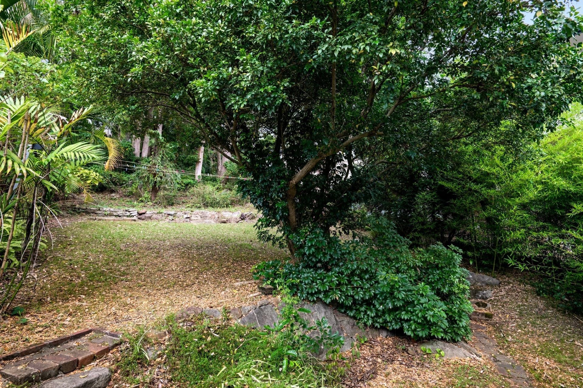 802 Barrenjoey Road, Palm Beach, Palm Beach - Thumbnail 6