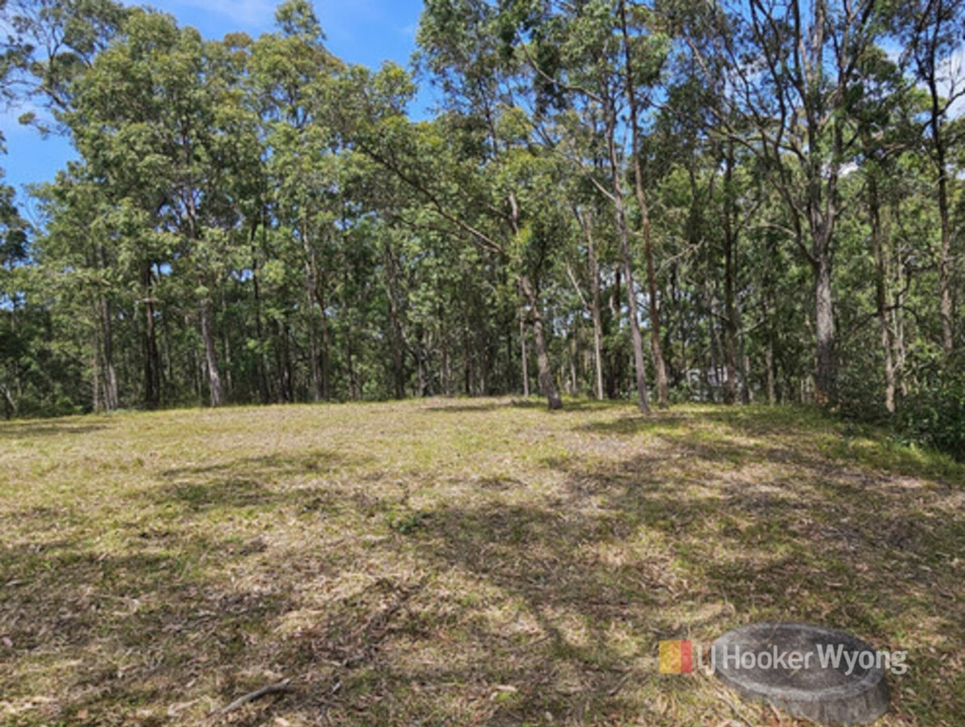 11 Lexington Avenue, Wadalba, Wadalba - Thumbnail 7