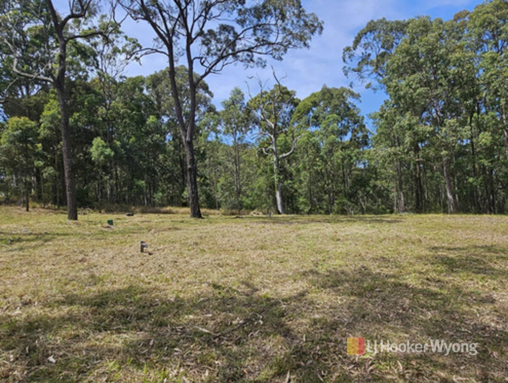 11 Lexington Avenue, Wadalba, Wadalba - Thumbnail 8