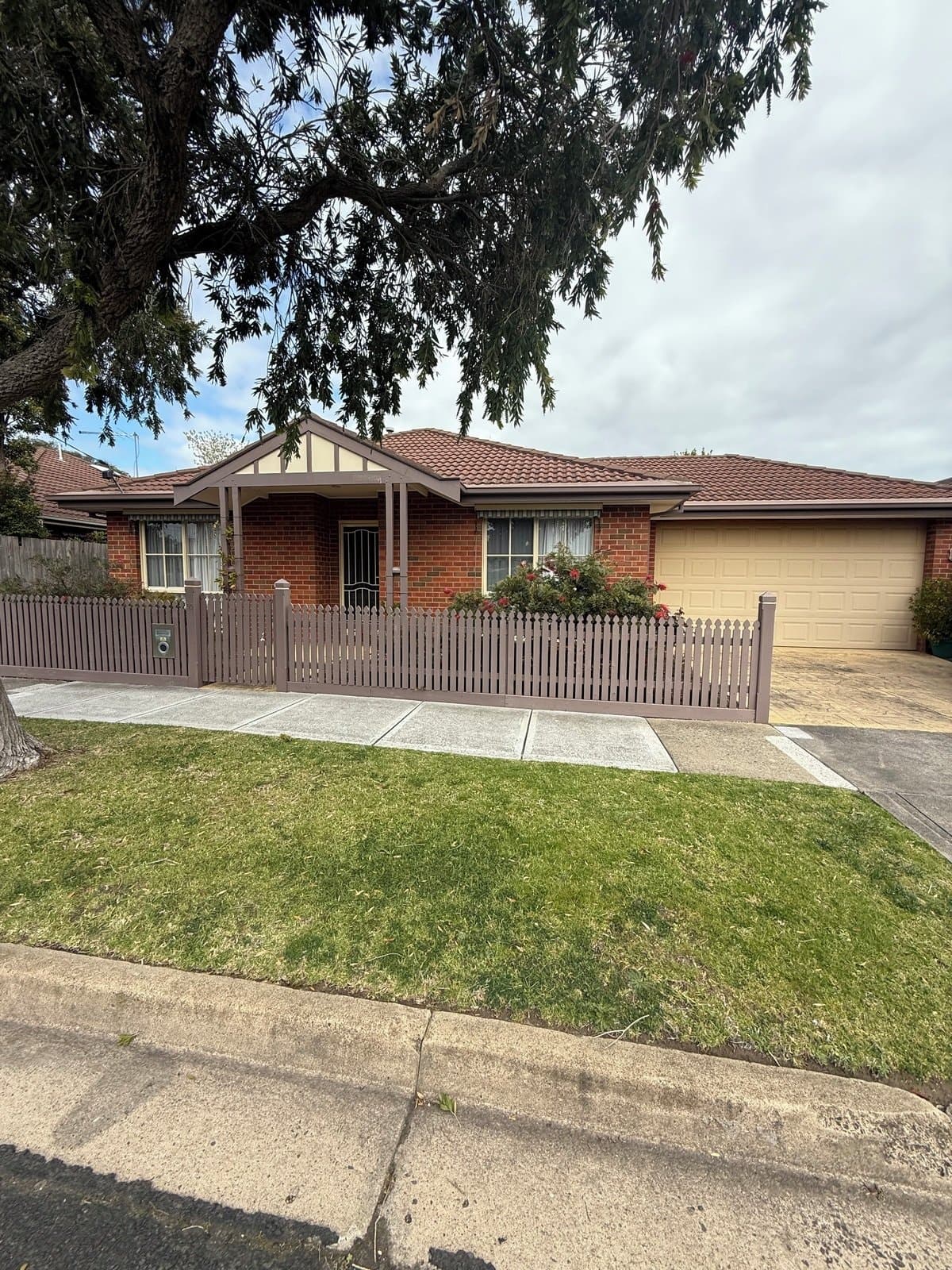 50 Brian Street, Bentleigh East, Bentleigh East - Image 1