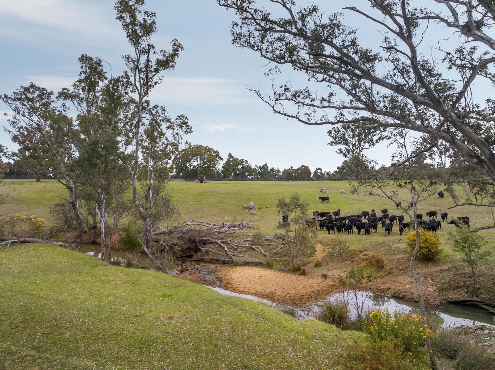 67 Owens Road, Elphinstone, Elphinstone - Thumbnail 3