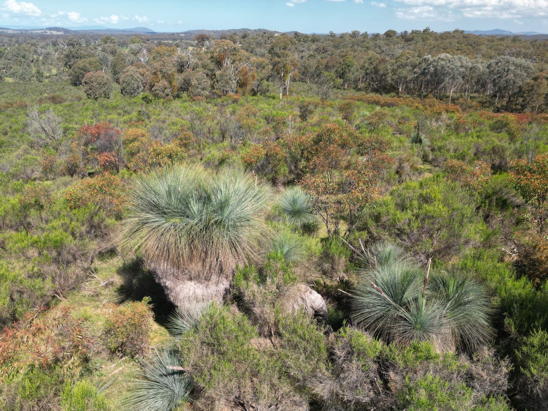 Lot 12 Heathcote-Nagambie Road, Moormbool West, Moormbool West - Image 1