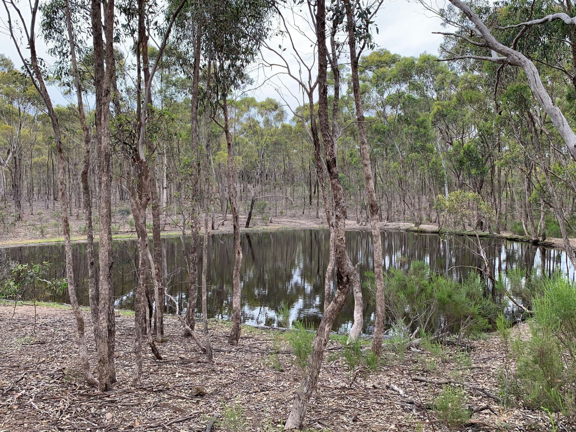 Lot 12 Heathcote-Nagambie Road, Moormbool West, Moormbool West - Thumbnail 3