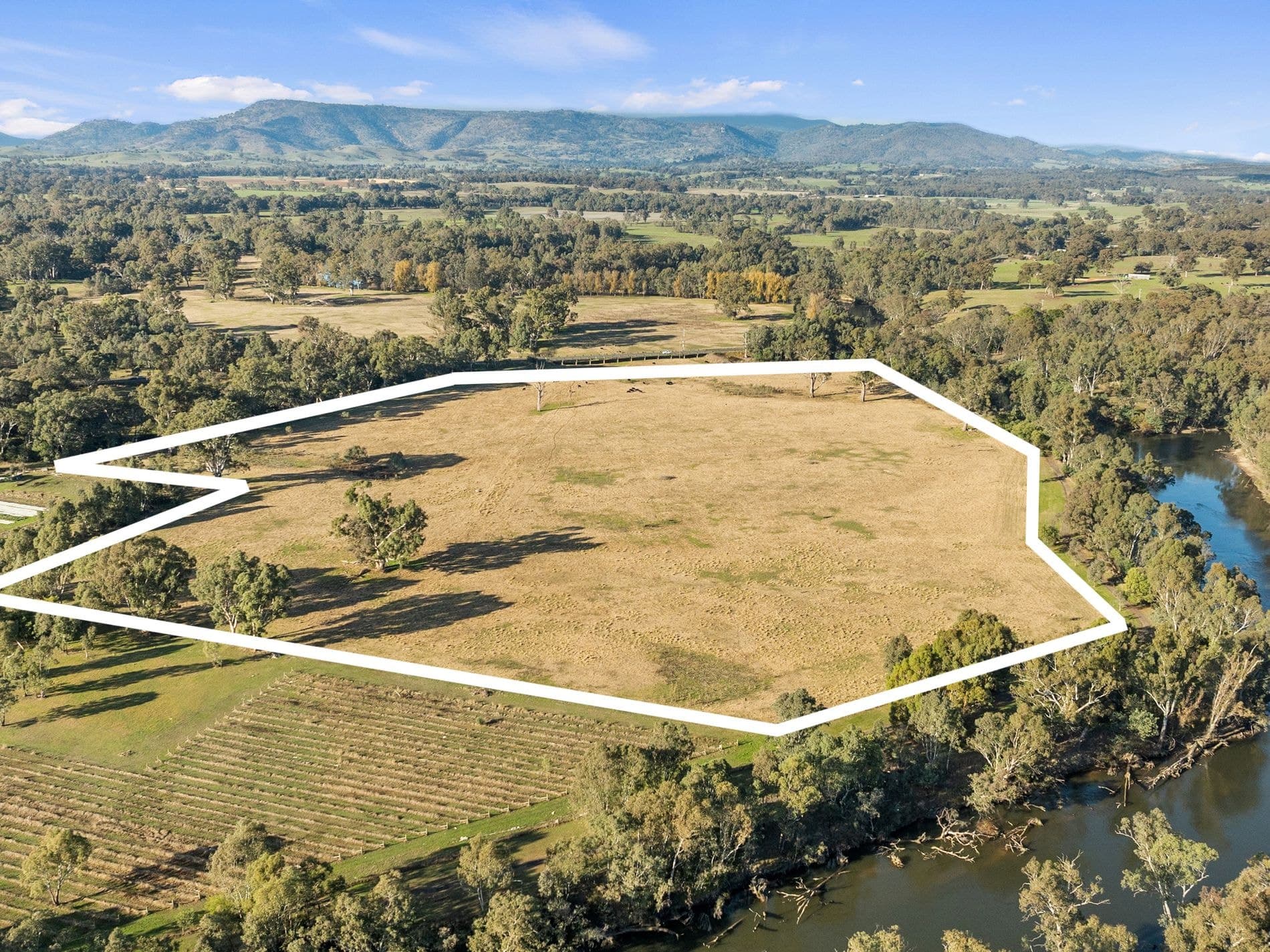 1 Tierney Street, Seymour, Seymour - Image 1