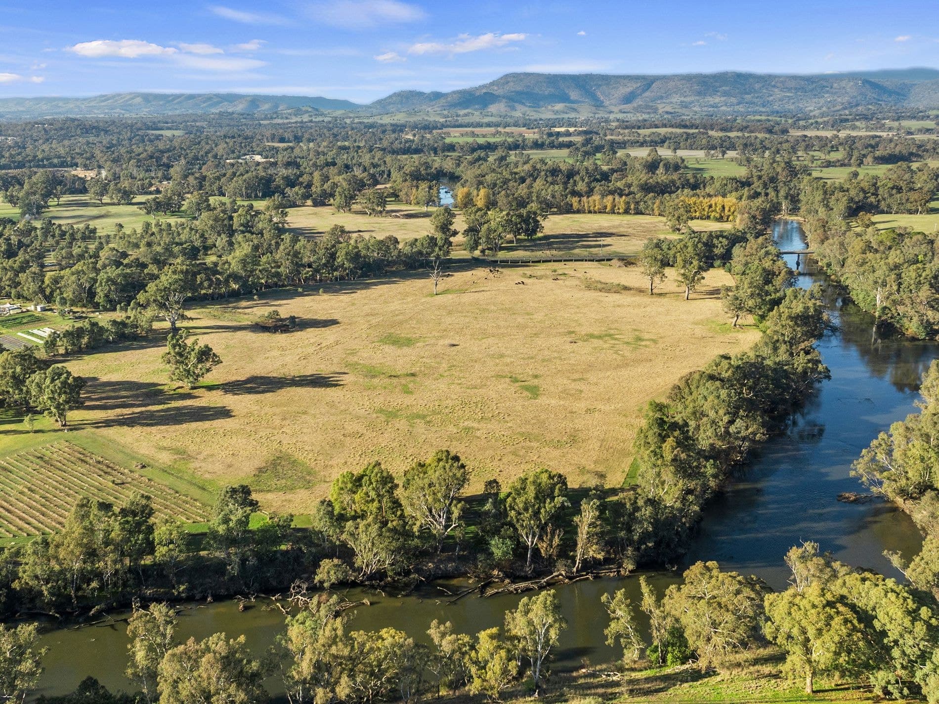 1 Tierney Street, Seymour, Seymour - Thumbnail 2