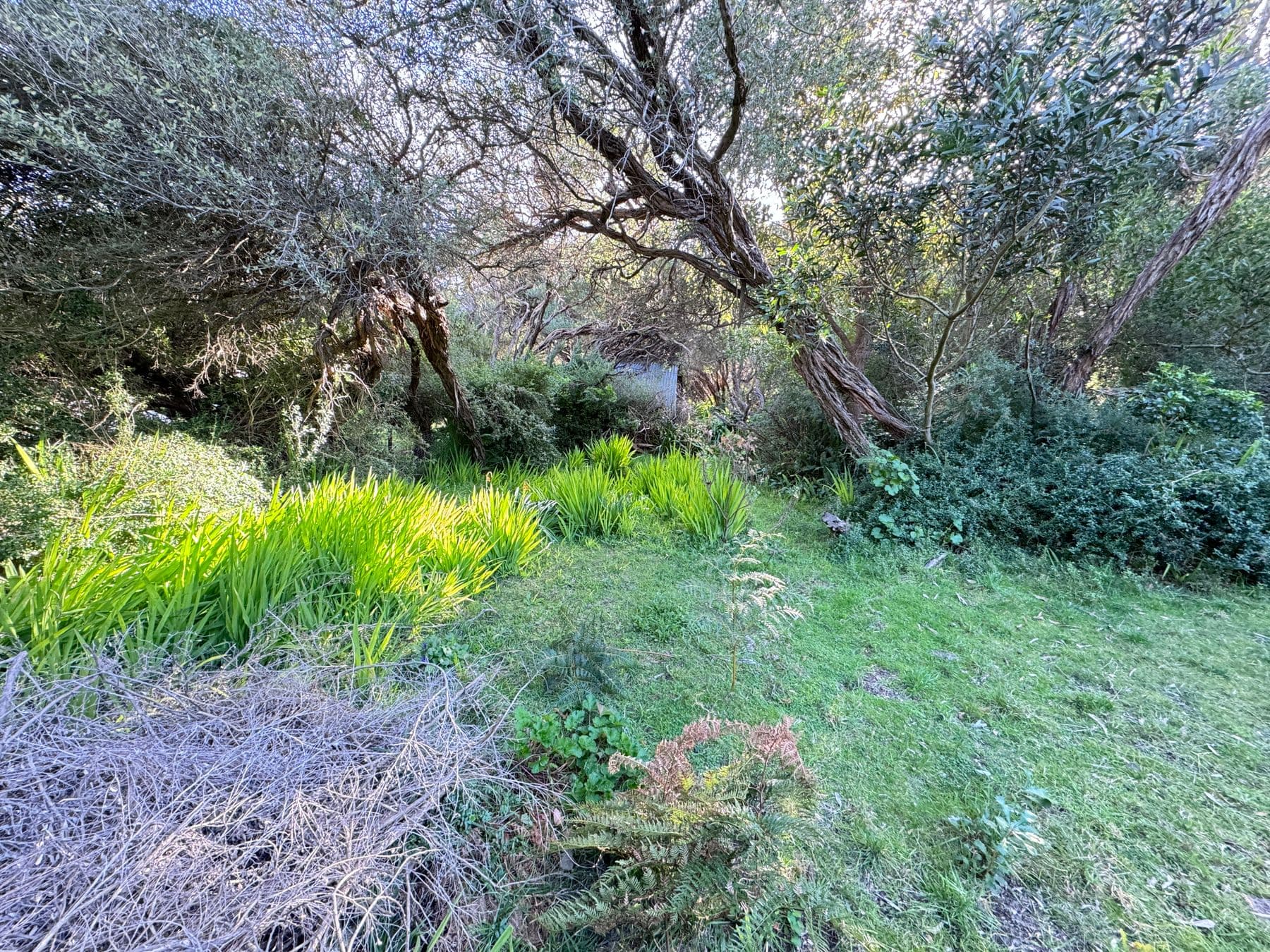 123 Atherton Drive, Venus Bay, Venus Bay - Thumbnail 6