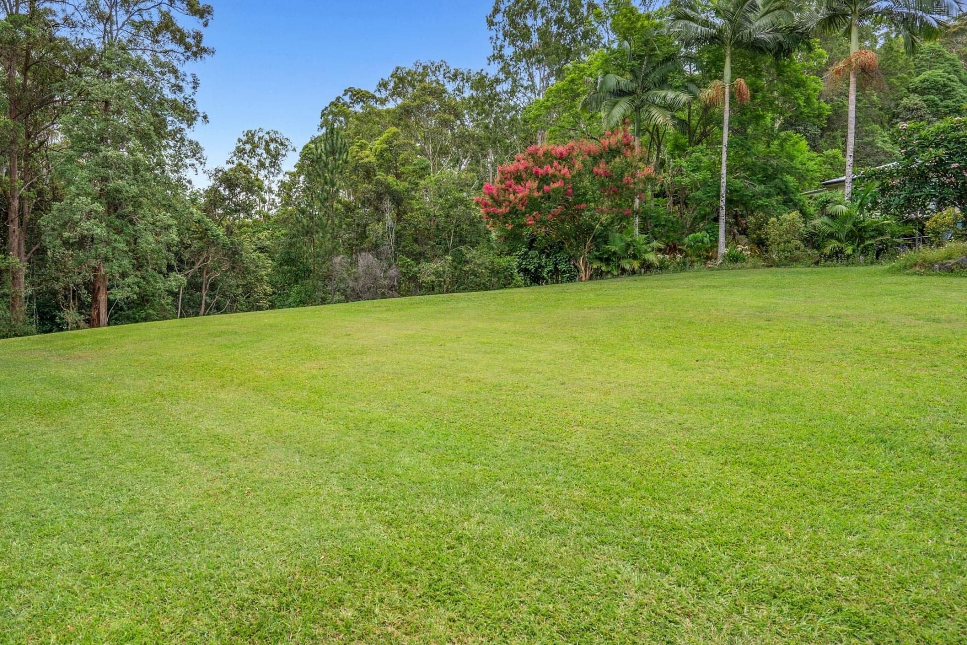 319 Highlands Road, Eudlo, Eudlo - Thumbnail 3
