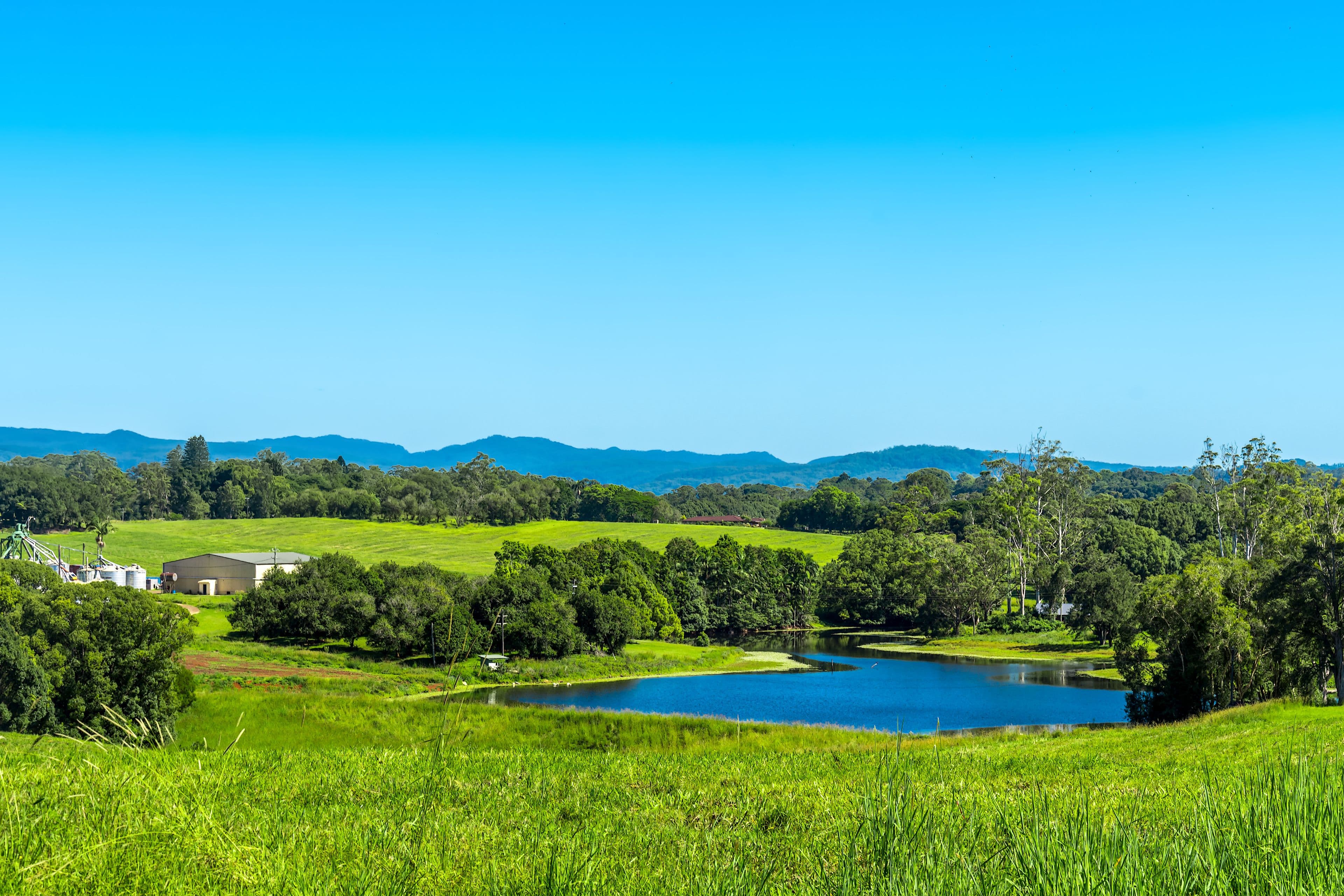 1050 Lismore Road, Nashua NSW 2479, Nashua - Thumbnail 3