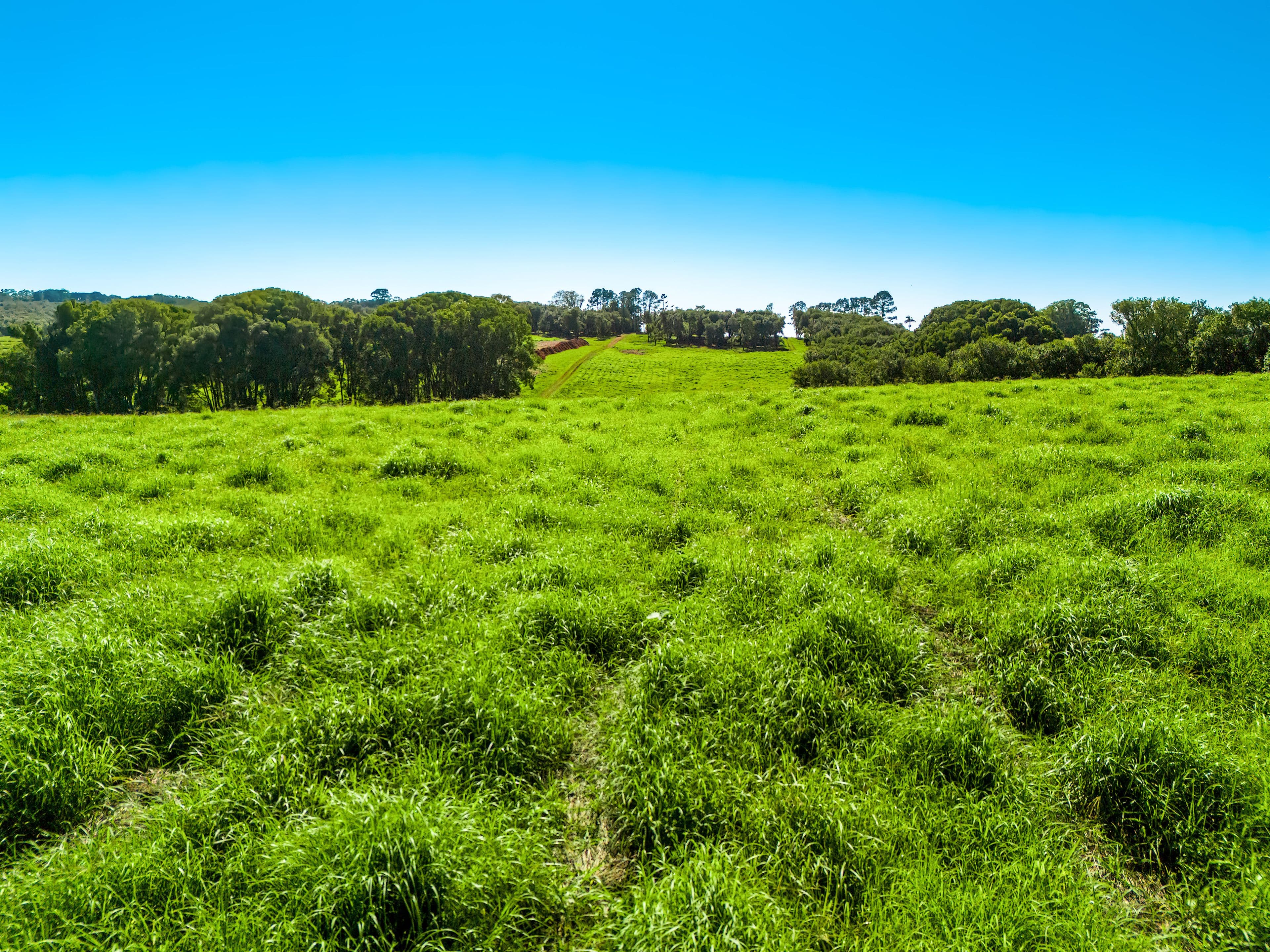 1050 Lismore Road, Nashua NSW 2479, Nashua - Thumbnail 4