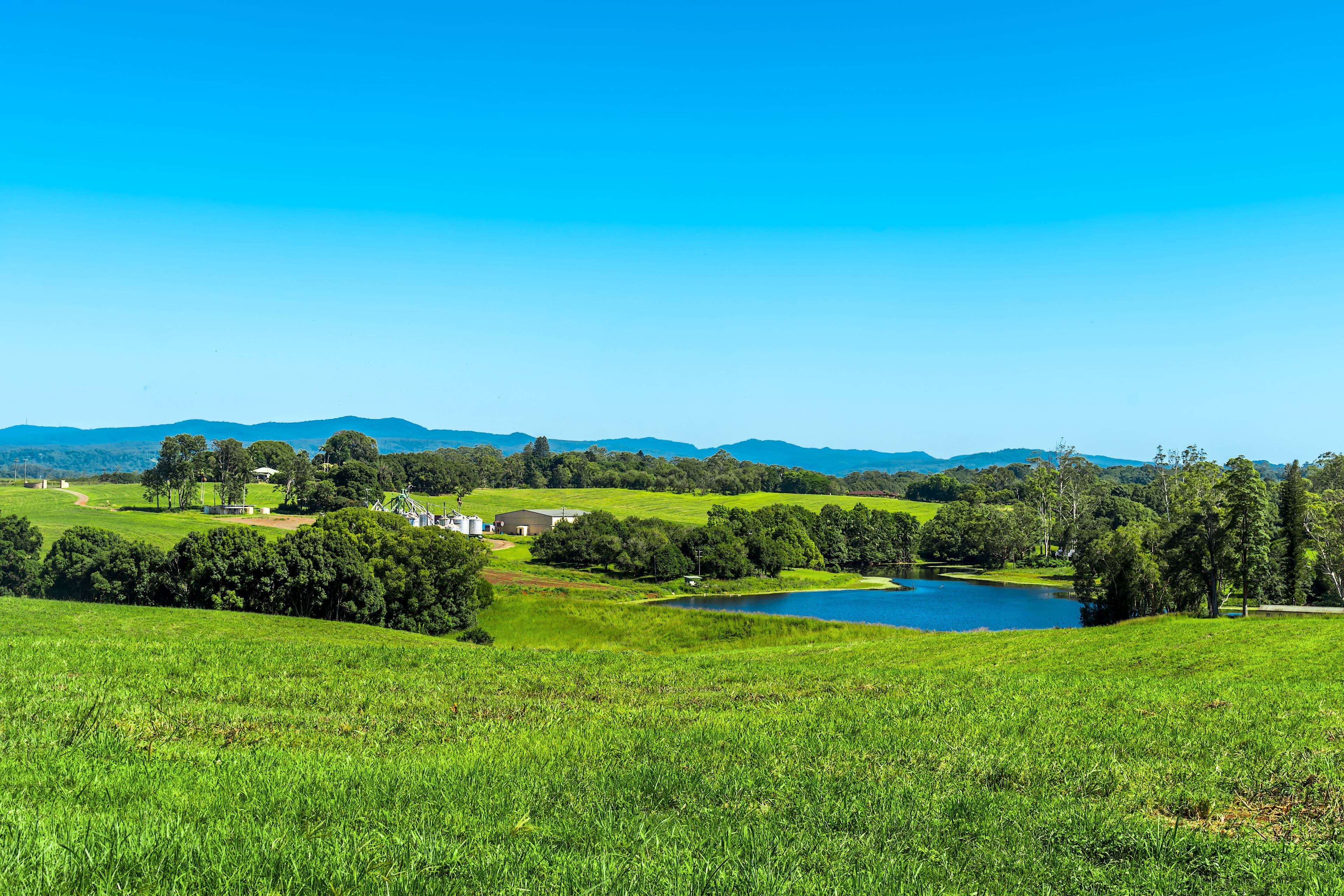 1050 Lismore Road, Nashua NSW 2479, Nashua - Thumbnail 5