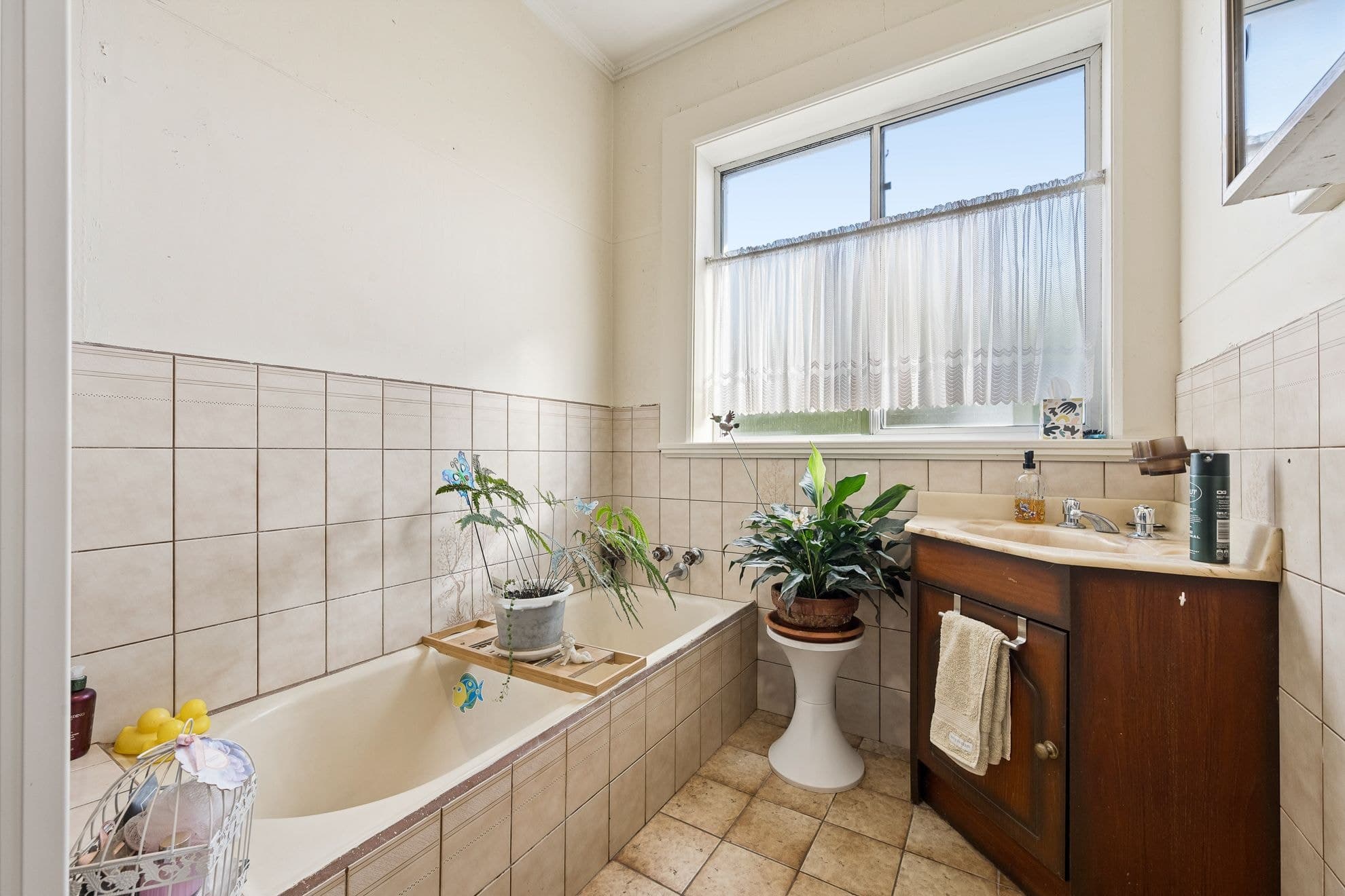 38 Brownes Road, Mount Gambier SA 5290, Mount Gambier - Thumbnail 4