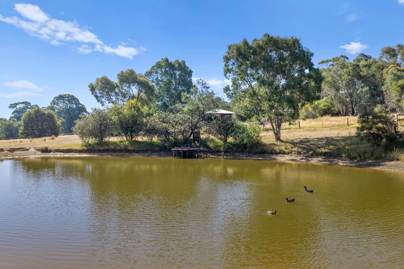 960 Old Tolmie Road, Barwite VIC 3722, Barwite - Thumbnail 3