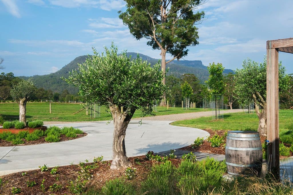 65D Glenmurray Road, Kangaroo Valley NSW 2577, Kangaroo Valley - Thumbnail 6