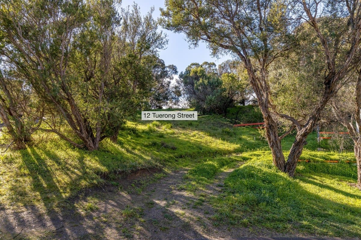 12 Tuerong Street, RYE, VIC, 3941, Rye - Thumbnail 4