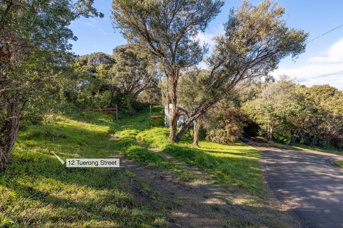 12 Tuerong Street, RYE, VIC, 3941, Rye - Thumbnail 5