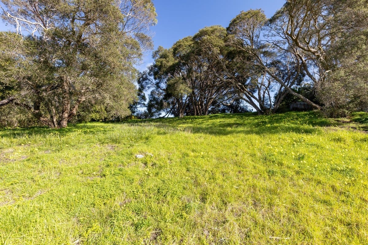 12 Tuerong Street, RYE, VIC, 3941, Rye - Thumbnail 6