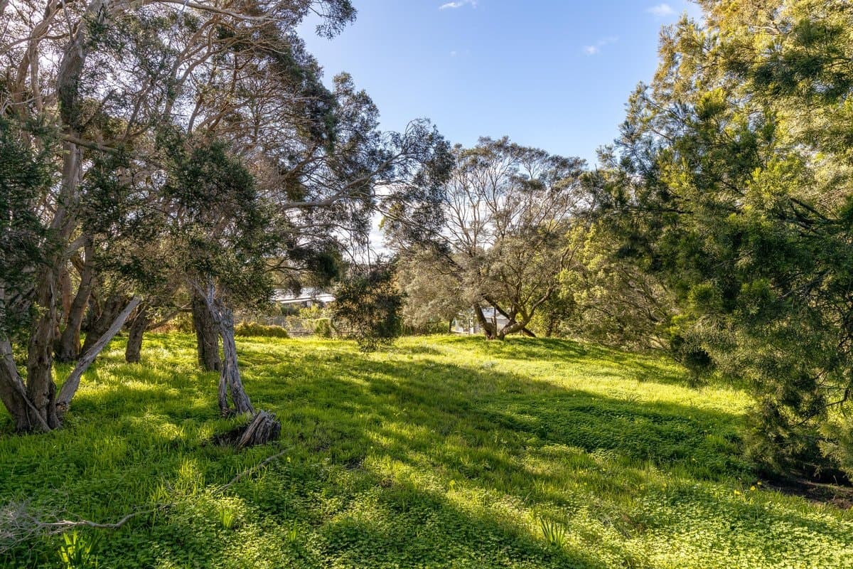 12 Tuerong Street, RYE, VIC, 3941, Rye - Thumbnail 7