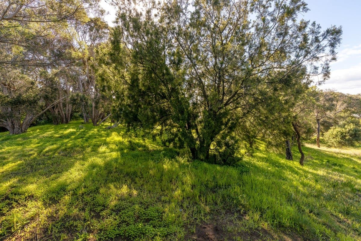 12 Tuerong Street, RYE, VIC, 3941, Rye - Thumbnail 8