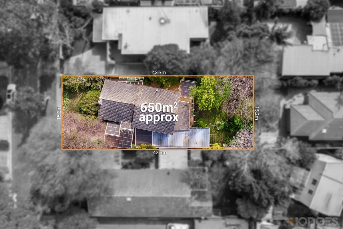 78 Pellatt Street, Beaumaris, VIC, 3193, Beaumaris - Thumbnail 2
