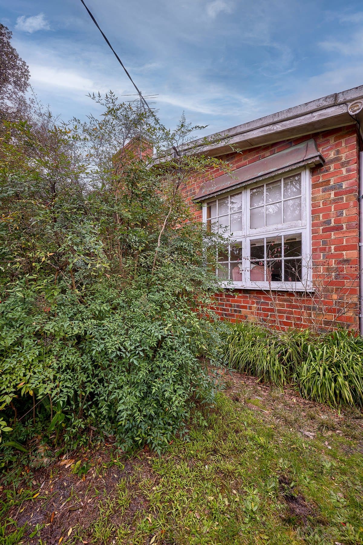 16 Rosemary Road, Beaumaris, VIC, 3193, Beaumaris - Thumbnail 4