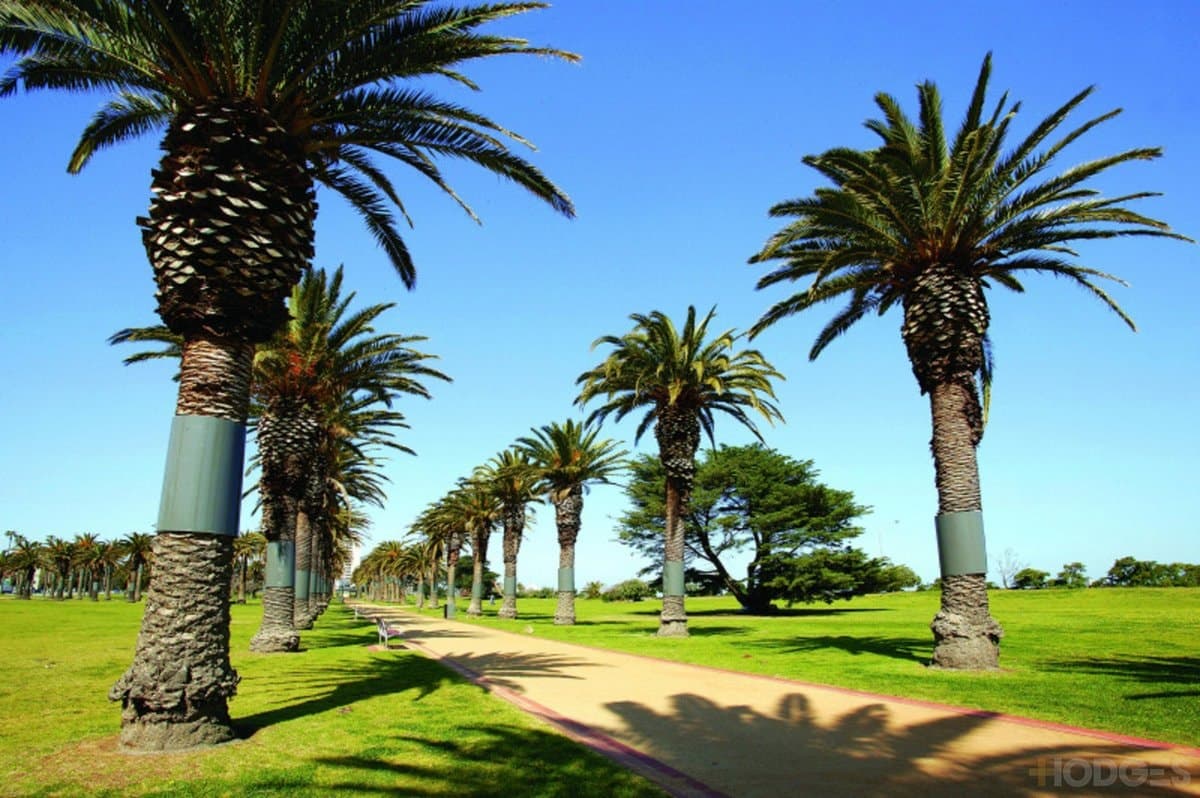 9 / 7 Alfred Square, St Kilda, VIC, 3182, St Kilda - Thumbnail 7
