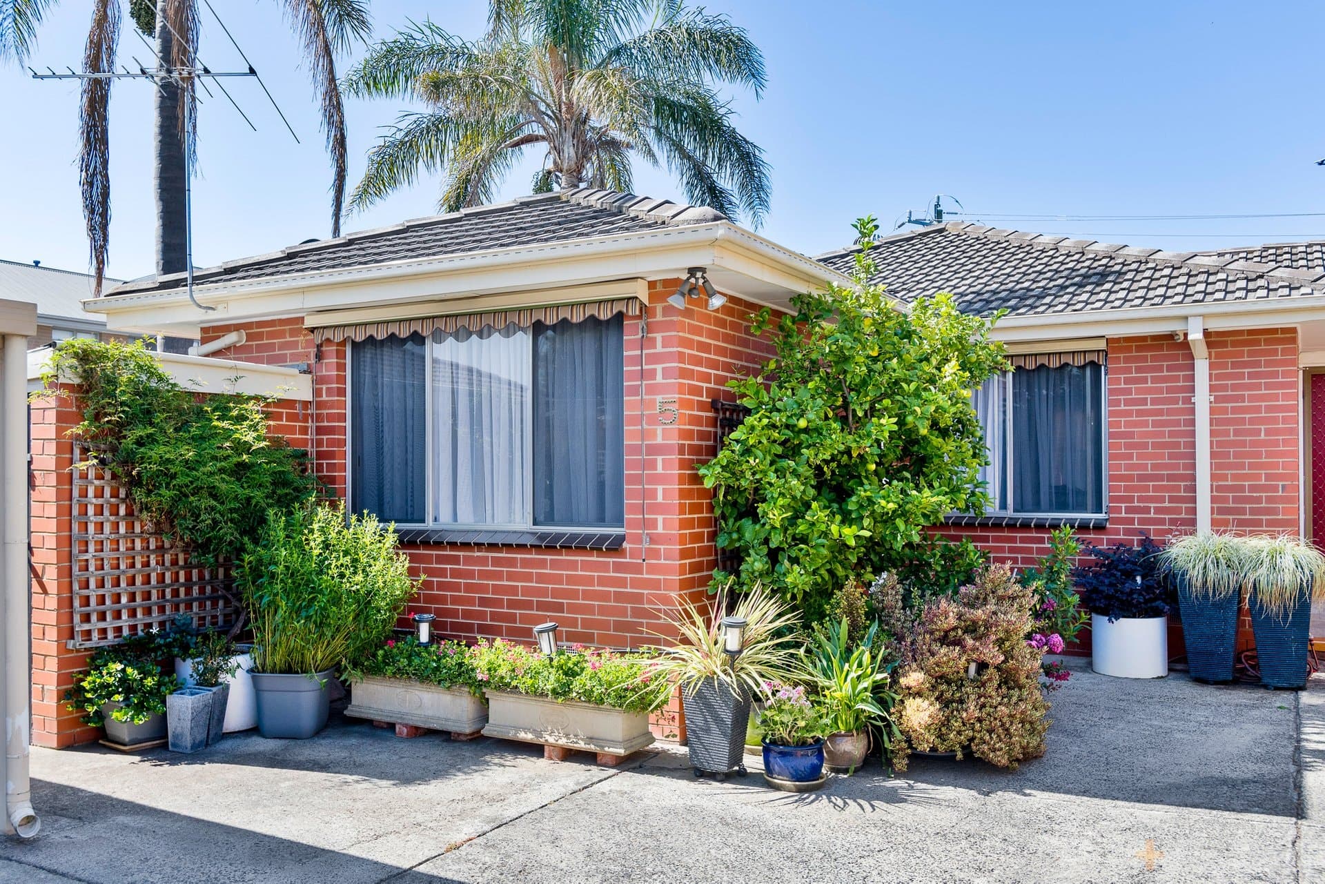 5 / 2B Haughton Street, Cheltenham, VIC, 3192, Cheltenham - Image 1