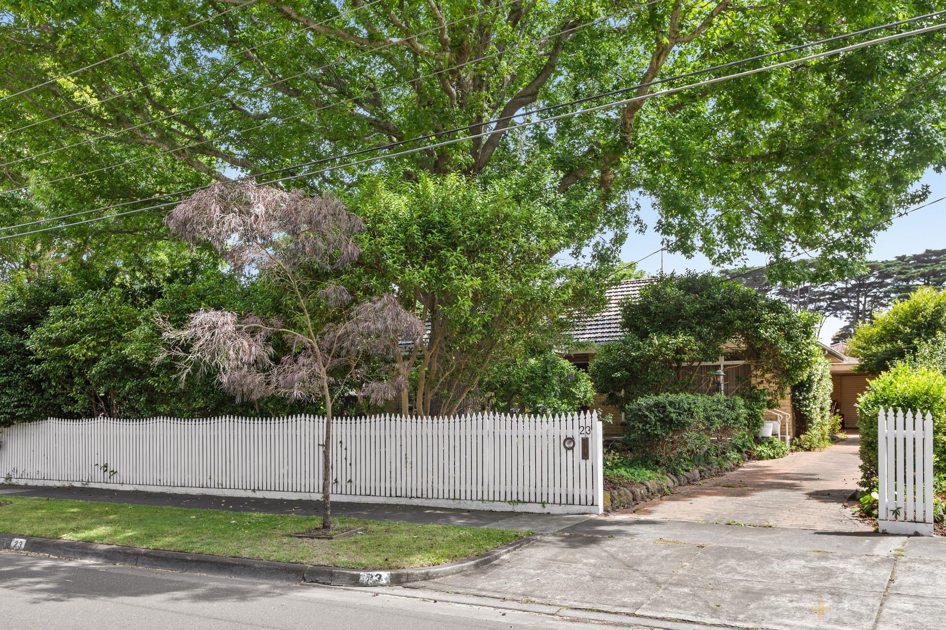 23 Erowal Street, Beaumaris, VIC, 3193, Beaumaris - Image 1