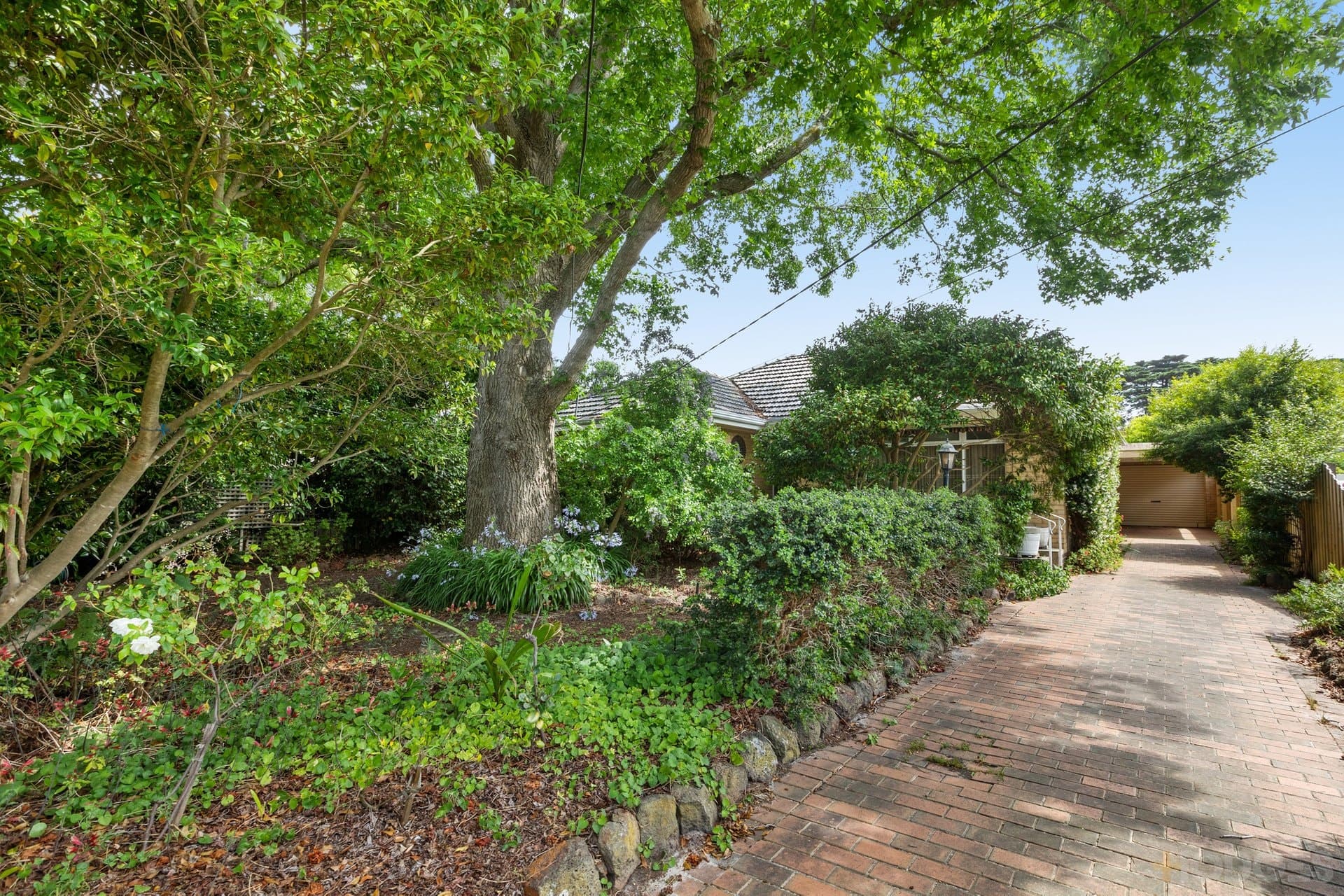 23 Erowal Street, Beaumaris, VIC, 3193, Beaumaris - Thumbnail 2