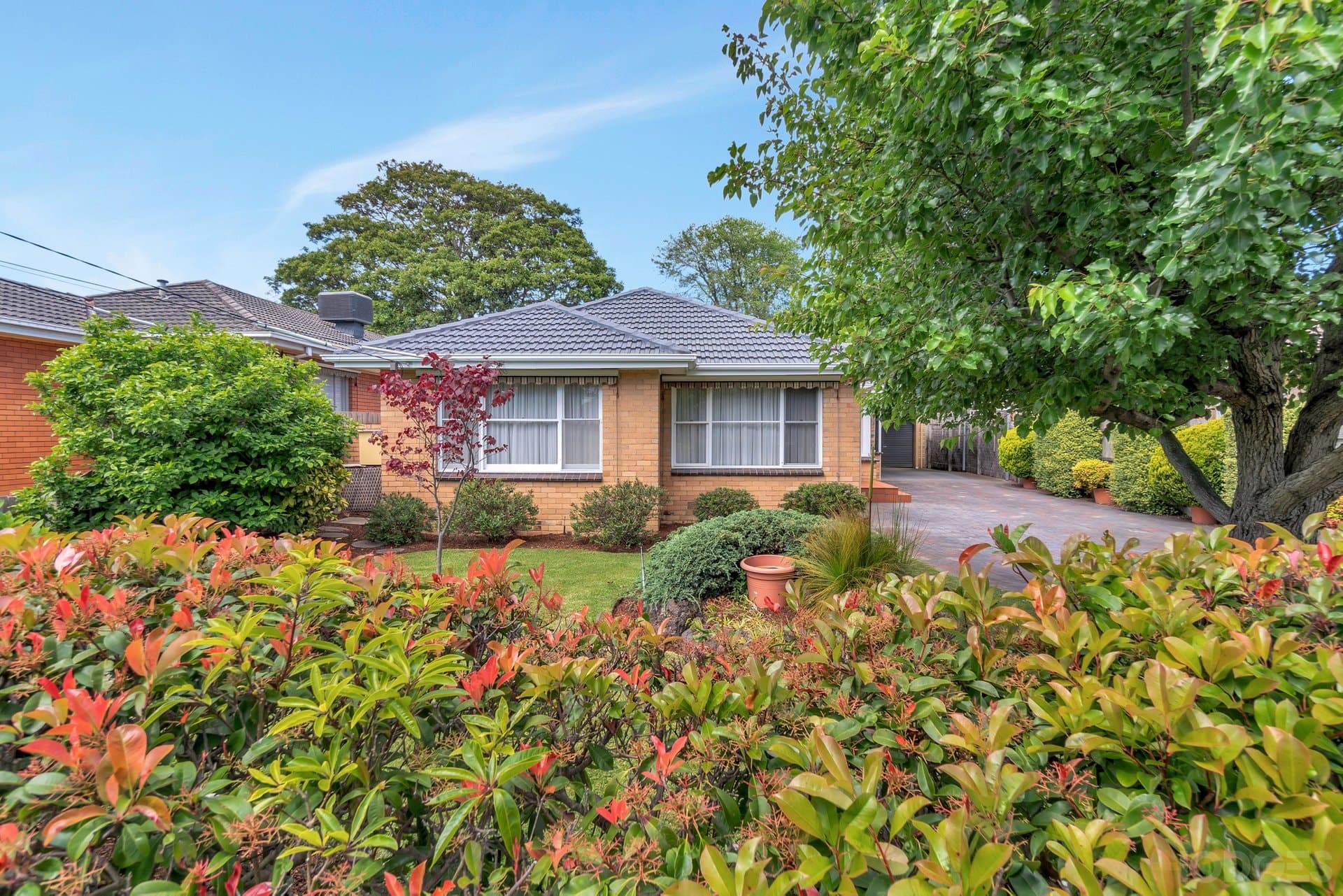 16 Ivy Street, Parkdale, VIC, 3195, Parkdale - Image 1